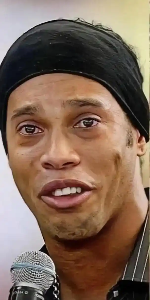 他们在引进 他们在引进